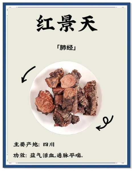 去高原吃哪种红景天_红景天胶囊和饮片哪个好