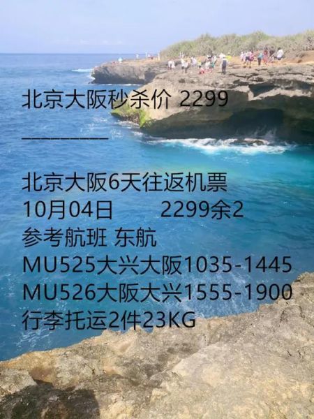 北京到大阪机票什么时候最便宜_北京到大阪机票怎么买最划算