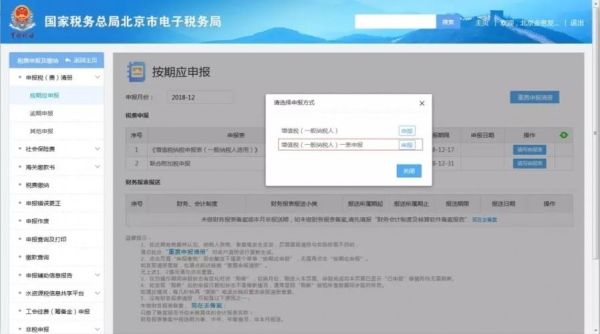 北京国税如何申报_北京国税电子税务局登录入口