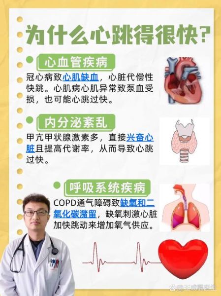 高原心跳过快怎么办_高原心跳多少算正常