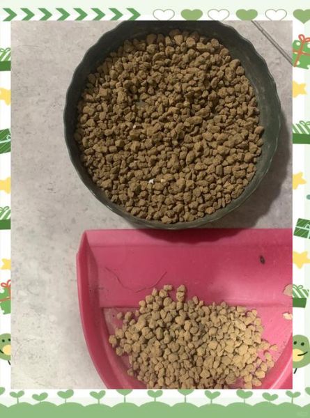 雪域高原土特产有哪些_如何辨别真假