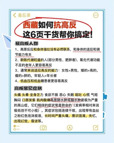 小孩高原反应怎么办_如何预防儿童高反