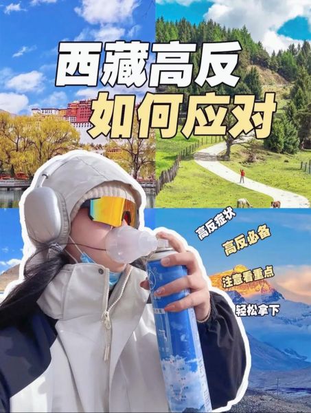 去青藏高原需要准备什么_高原反应怎么缓解