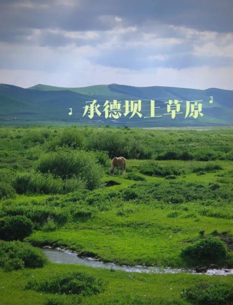 坝上草原有高原反应吗_海拔多少米