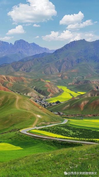 高原上的绿色_如何保持生态平衡