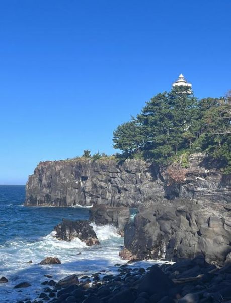 伊豆高原怎么去城崎海岸_城崎海岸值得去吗