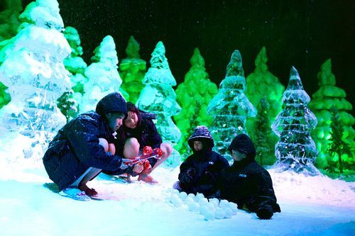 阳朔冰雪王国门票价格_怎么买最划算