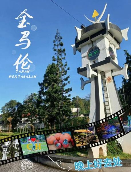 金马伦高原茶园门票价格_怎么去最方便