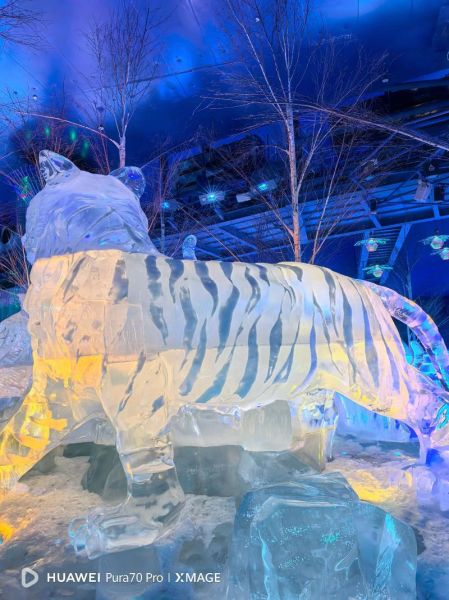 冰雪美食城有什么好吃的_冰雪美食城必打卡餐厅