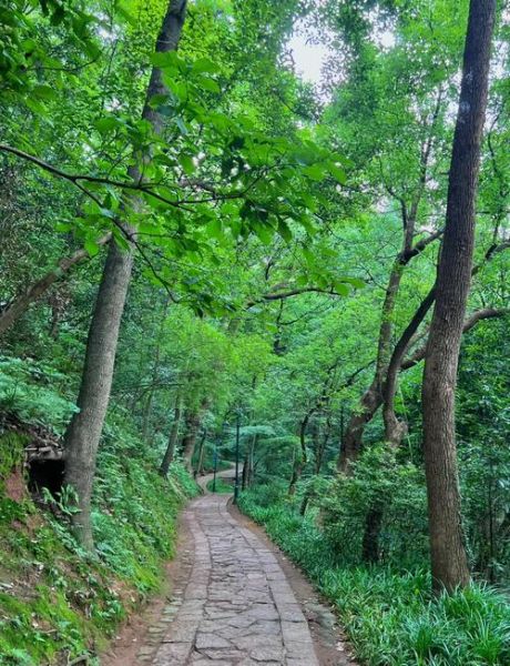 杭州户外徒步路线推荐_杭州徒步哪里风景好