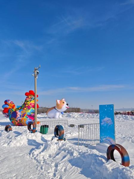 亳州冰雪在哪玩_门票多少钱