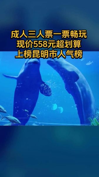 云南冰雪海洋世界门票价格_云南冰雪海洋世界在哪里