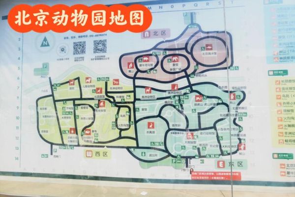 北京动物园好玩吗_值得去吗