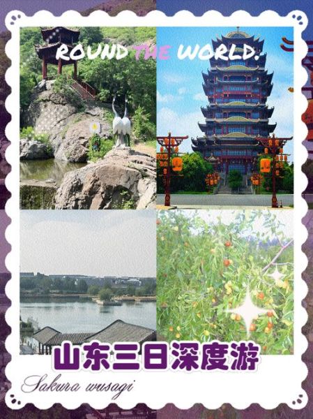 山东同舟户外怎么样_山东同舟户外值得去吗