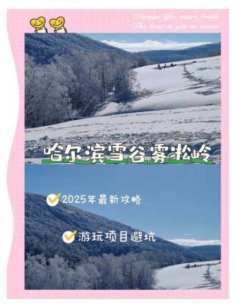 雾松冰雪节门票价格_雾松冰雪节在哪举办
