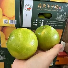 高原一号多少钱_高原一号价格表