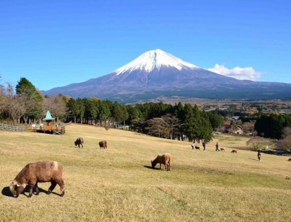 富士山高原最佳季节_富士山高原怎么去