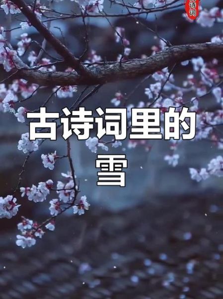 冰雪倾尘是什么意思_冰雪倾尘出自哪里