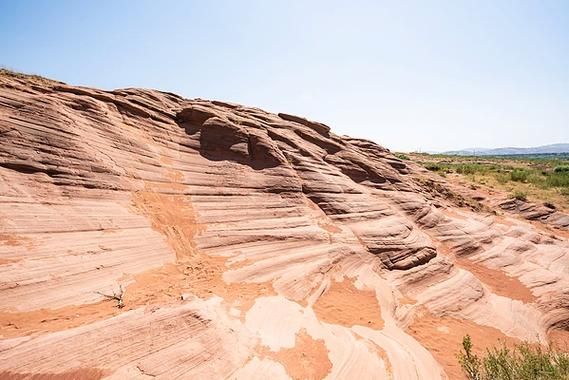高原樽43是什么_高原樽43价格多少钱