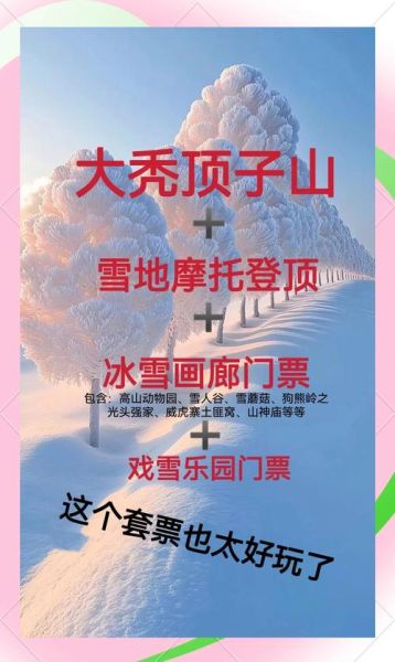 冰雪节门票多少钱_冰雪节有哪些特色活动