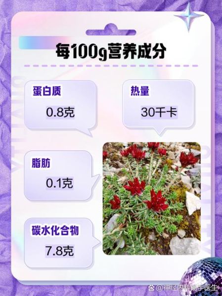 高原反应吃什么红景天_高原红景天怎么吃