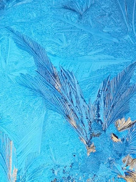 冰雪窗花怎么做_冰雪窗花寓意是什么