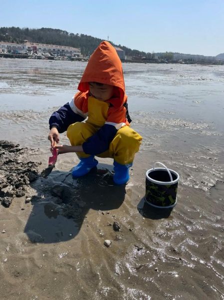 户外蛤蜊怎么挖_蛤蜊哪里最多