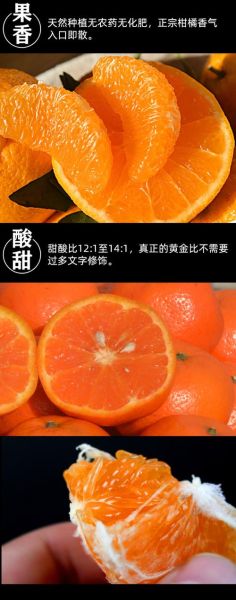 桔子冰雪门票价格_桔子冰雪营业时间