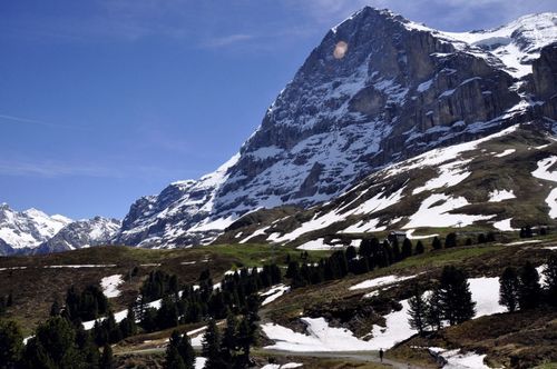 残酷冰雪下载在哪找_残酷冰雪下载安全吗