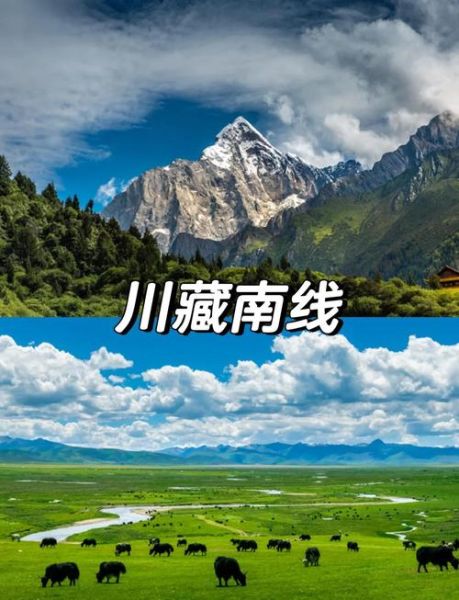 高原康和高原安的区别_哪个更适合进藏