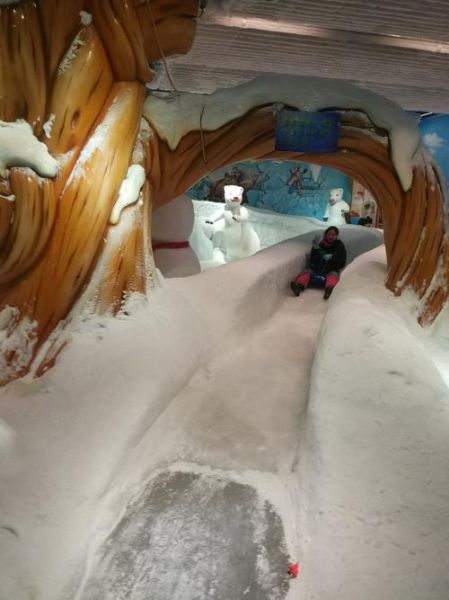 黄村冰雪门票价格_黄村冰雪有什么好玩的