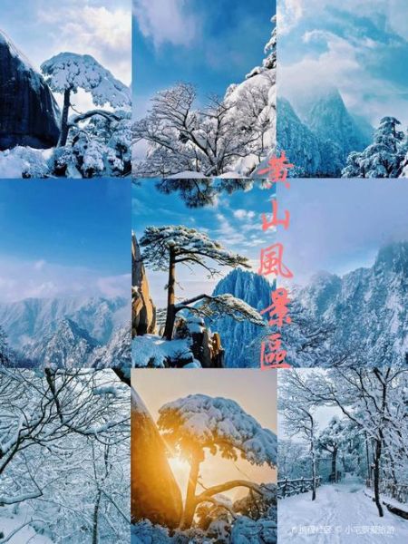 黄山冰雪什么时候去最好_黄山看雪景最佳路线