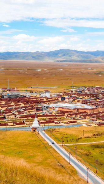 高原湿地在哪里_高原湿地有哪些独特生态