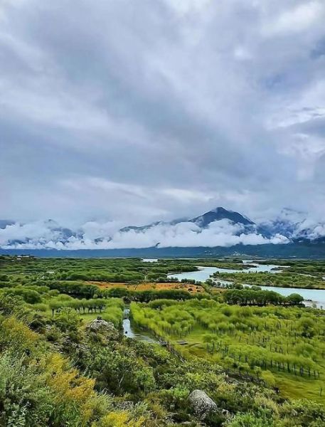 高原湿地在哪里_高原湿地有哪些独特生态