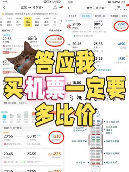 北京到大连机票什么时候最便宜_如何买到特价票