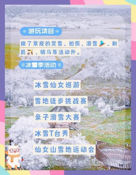 仙女山冰雪城门票价格_怎么买便宜