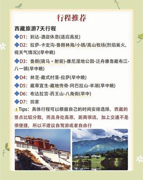 拉萨高原康_高原反应怎么办