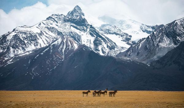 高原上的山叫什么山_高原山脉有哪些