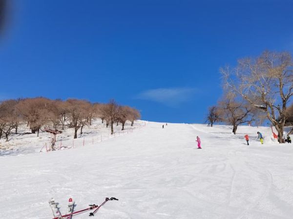 中国冰雪旅游去哪好_初学者滑雪技巧
