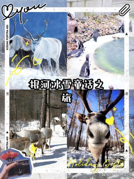 冰雪的童话讲了什么_冰雪童话寓意解析