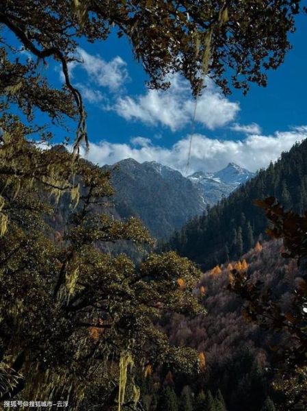 从高原回来头晕怎么办_高原反应后头晕多久能好