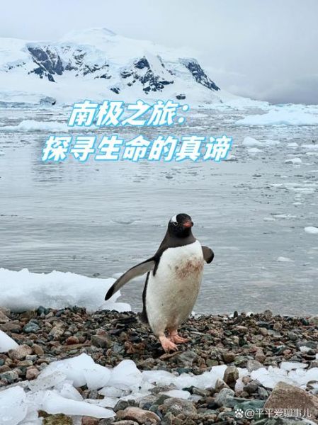 南极洲冰雪之地旅游攻略_南极洲冰雪之地怎么去