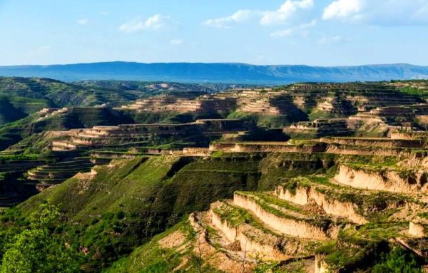 陕西黄土高原地貌在哪_黄土高原地貌特征是什么