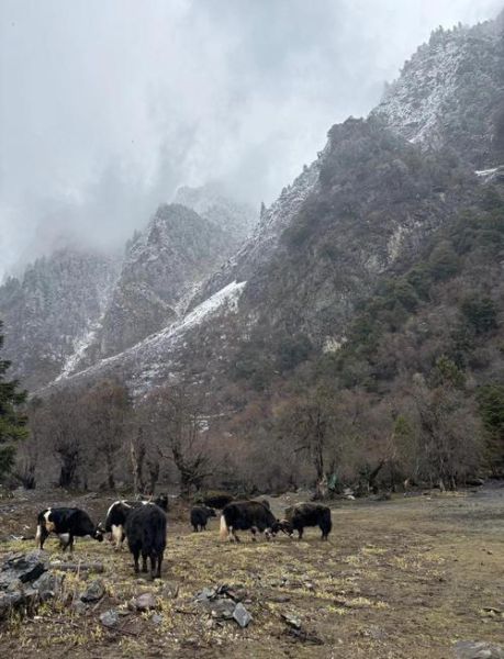 雨崩高原反应症状_如何预防雨崩高反