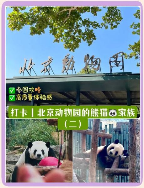 北京动物园熊猫馆门票价格_开放时间