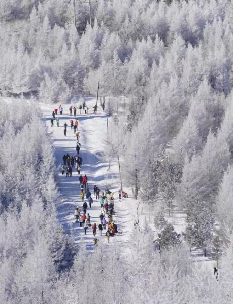 初冬的高原穿什么_初冬的高原冷不冷