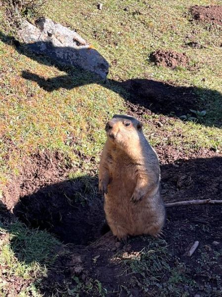 土拨鼠户外怎么样_土拨鼠户外值得买吗