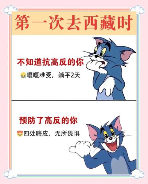 进藏高原反应怎么办_去西藏如何预防高反