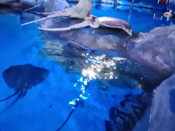 惠州冰雪世界门票价格_惠州冰雪世界好玩吗