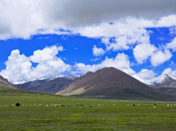 307高原是什么_307高原海拔多少米